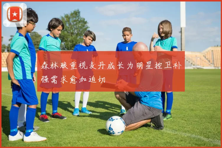 森林狼重视麦丹成长为明星控卫补强需求愈加迫切